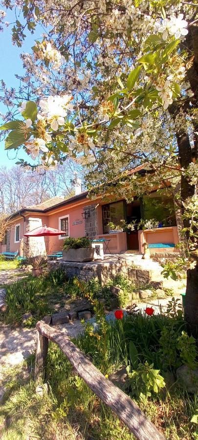 Apartman Doemoerkapu Rengeteg Vendeghaz *